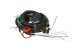 KME NEVO-SKY DUAL 6 cyl./8 cyl. DIRECT (DI + MPI) Activate RL/RL elektronika DG7 RGB - zdjęcie 3